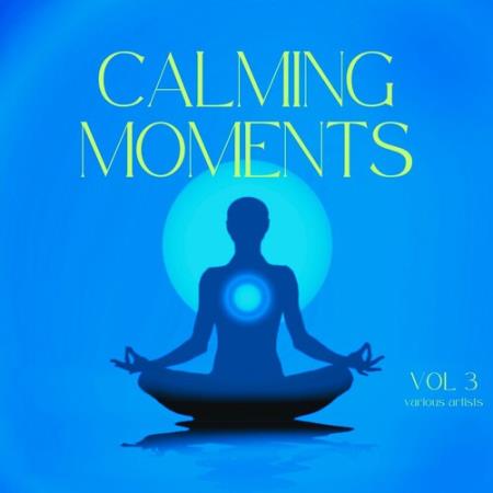 Calming Moments Vol.3 (2024) FLAC