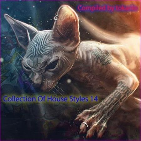 Collection Of House Styles 14 (Compiled by tokarilo) (2024)