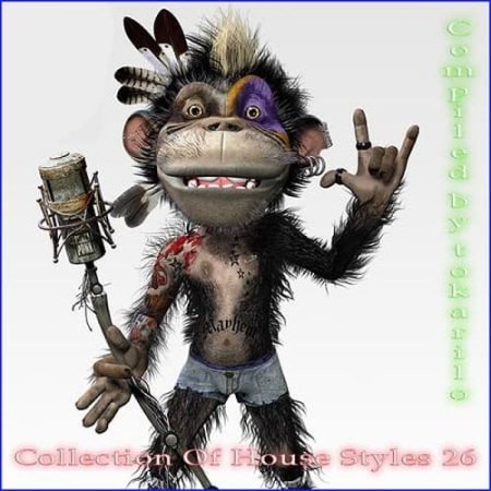 Collection Of House Styles 26 (Compiled by tokarilo) (2025)